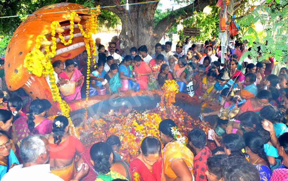 nagula chavathi celebrations in telugu states13