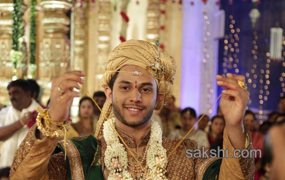 ali Janardhan Reddy daughter Brahmani wedding11