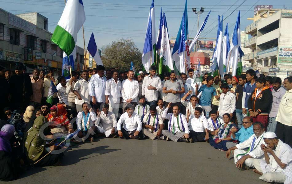 bharat bandh in telugu states10