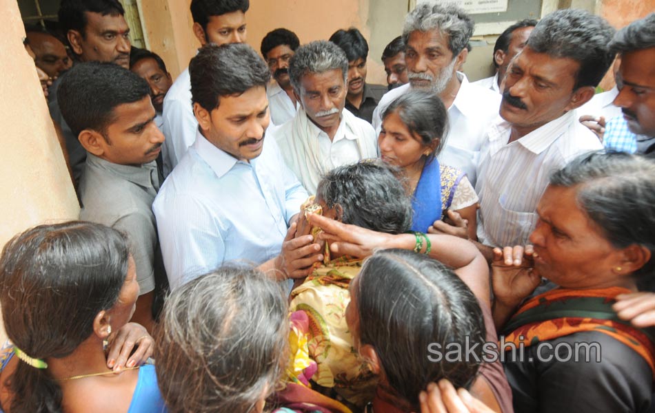 Ys Jagan Tour in Pulivendula - Sakshi2