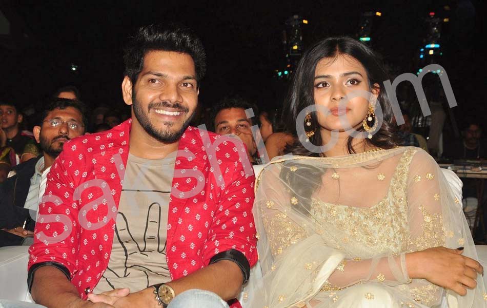 Nanna Nenu Na Boyfriends audio launch16