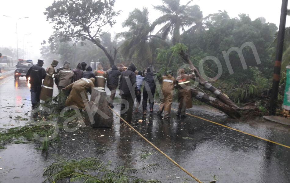 tamil nadu vardah cyclone11