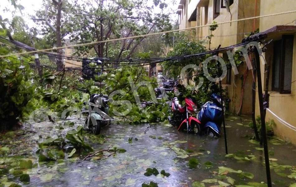 tamil nadu vardah cyclone27