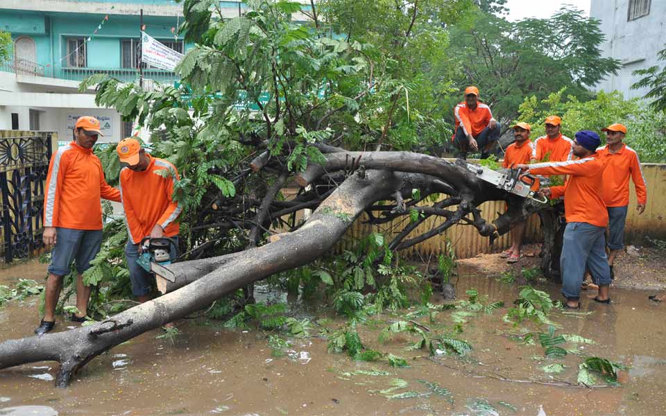 Vardah creates havoc - Sakshi3