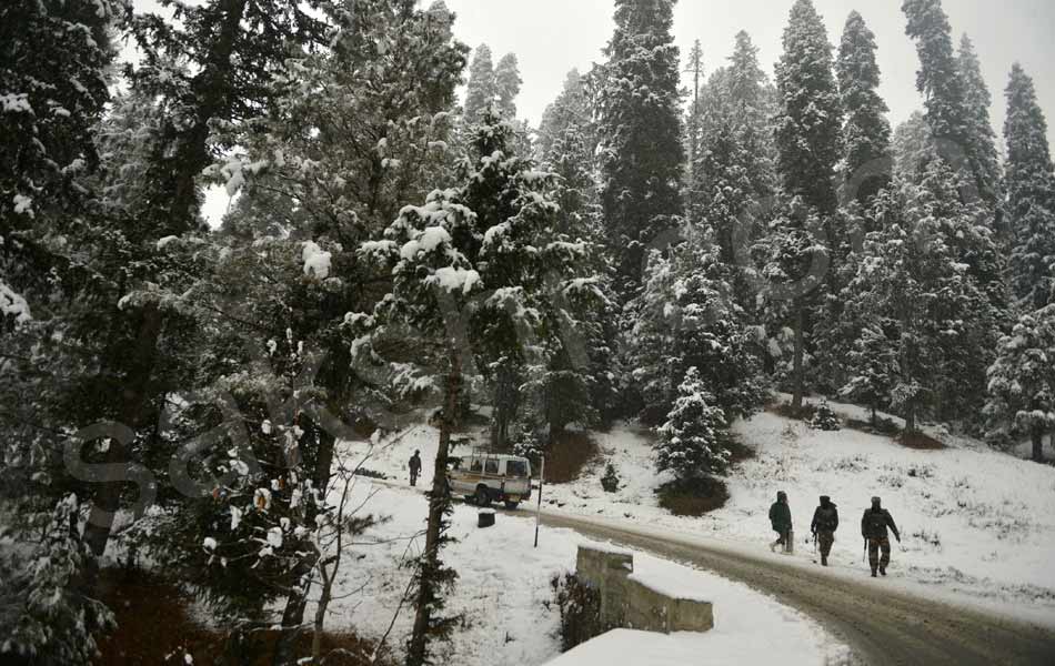 snowfall at North India attracts tourists22