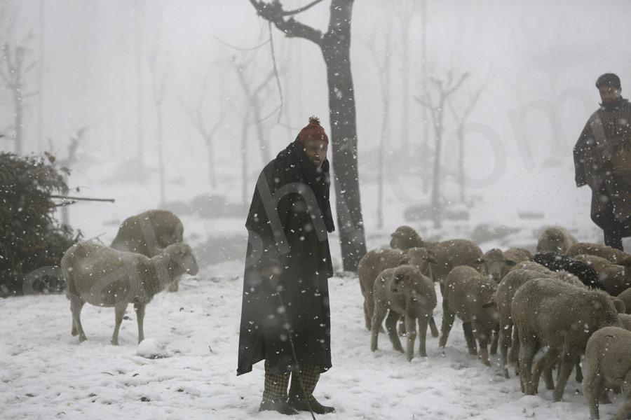 snowfall at North India attracts tourists28