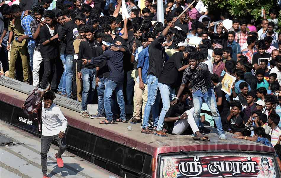 jallikattu in tamil nadu14