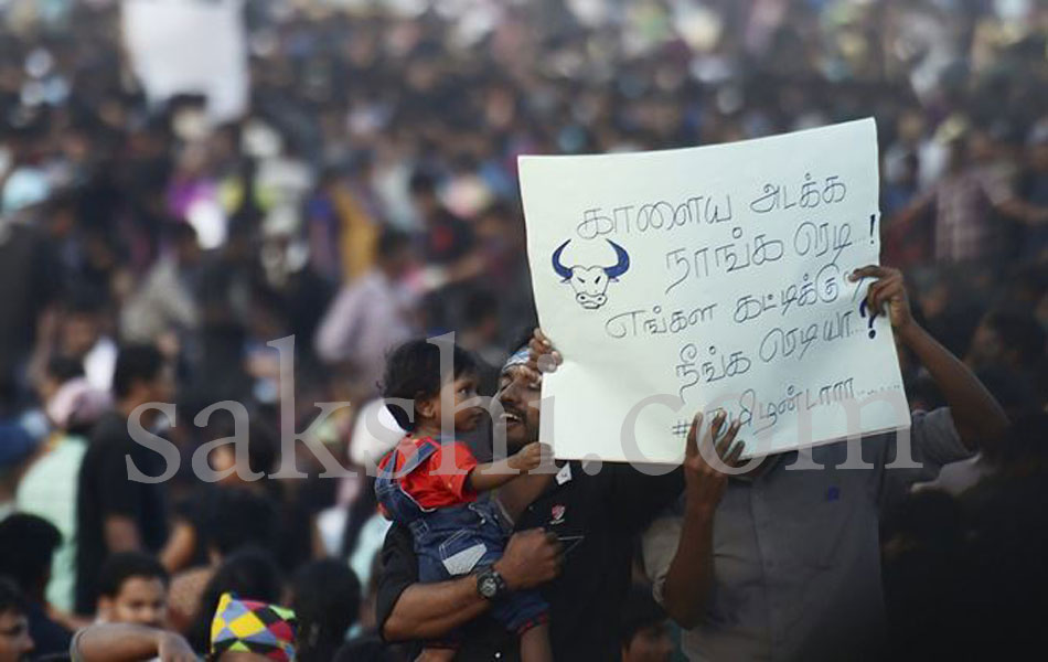 Jallikattu protest - Sakshi3