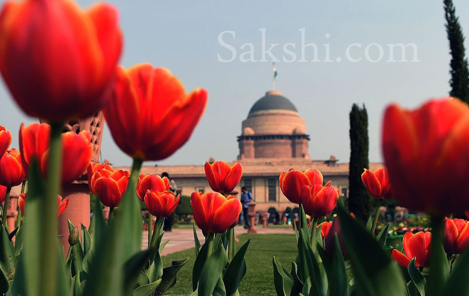 Mughal Gardens at Rashtrapati Bhavan1