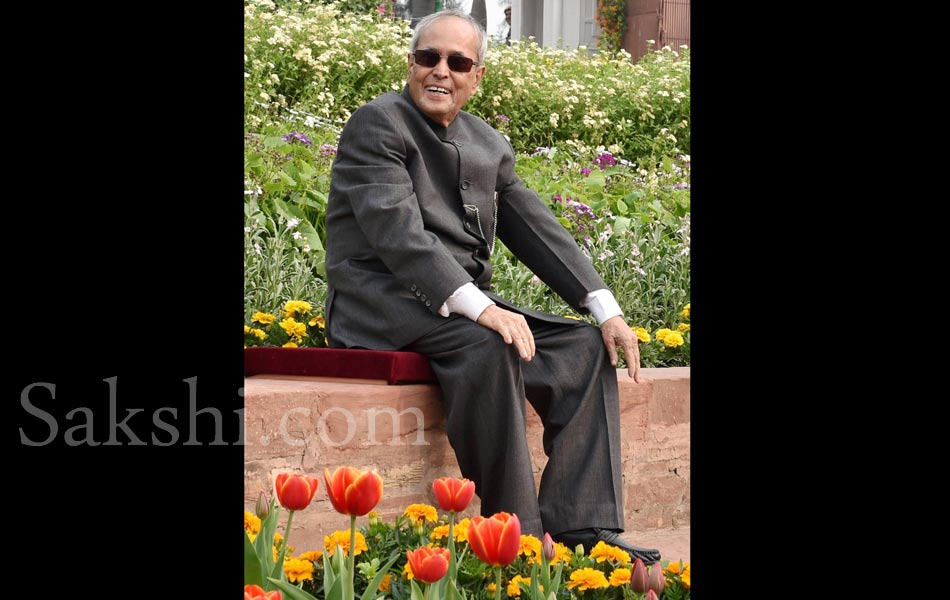 Mughal Gardens at Rashtrapati Bhavan12