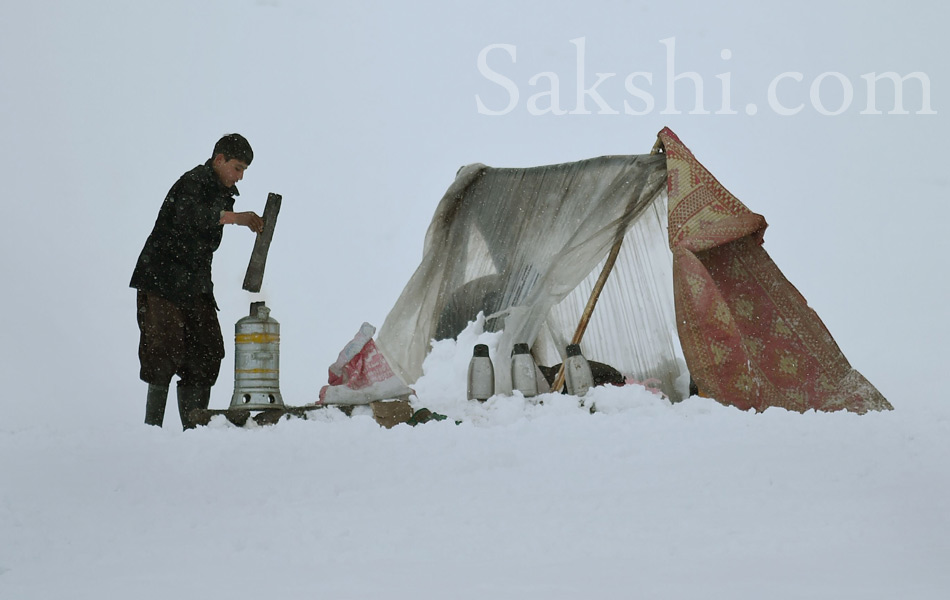 snow laden trees in Kabul5