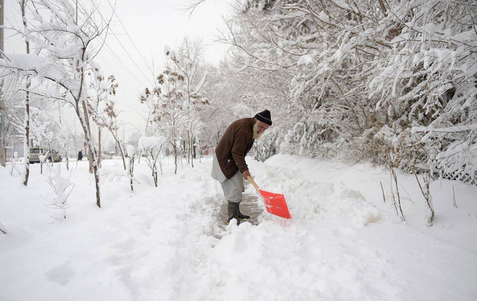 snow laden trees in Kabul15