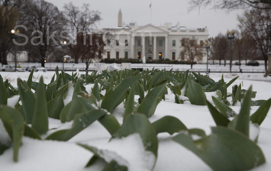 snowstorm in usa - Sakshi15