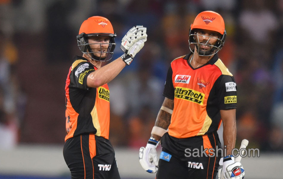 Sunrisers Hyderabad win Delhi Daredevils2