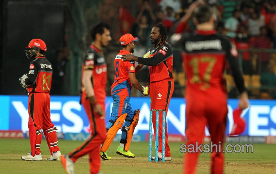 Gujarat Lions win Royal Challengers Bangalore - Sakshi17