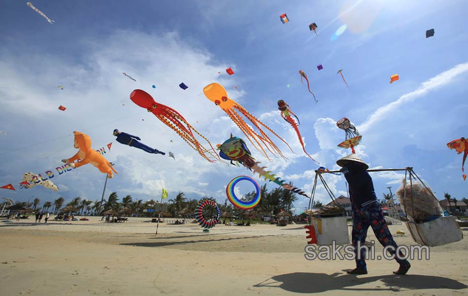 International Kite Festival in Vietnams Quang Nam province8