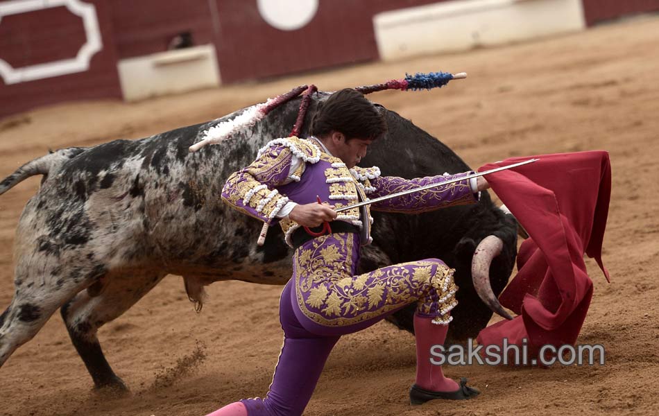 bull fight in spanish - Sakshi6