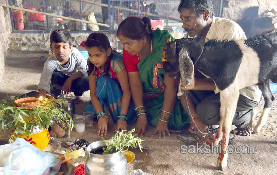 laldarwaza bonalu11