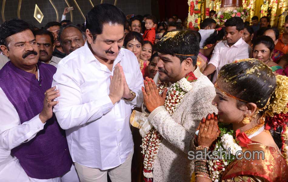 speaker madhusudhana chary son marriage14