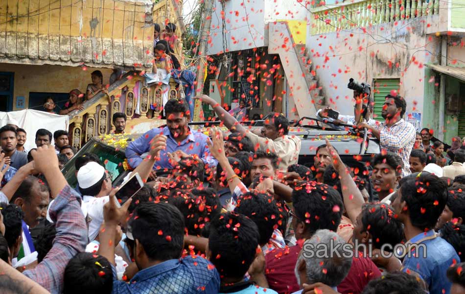 ys jagan mohan reddy road show in nandyal - Sakshi14