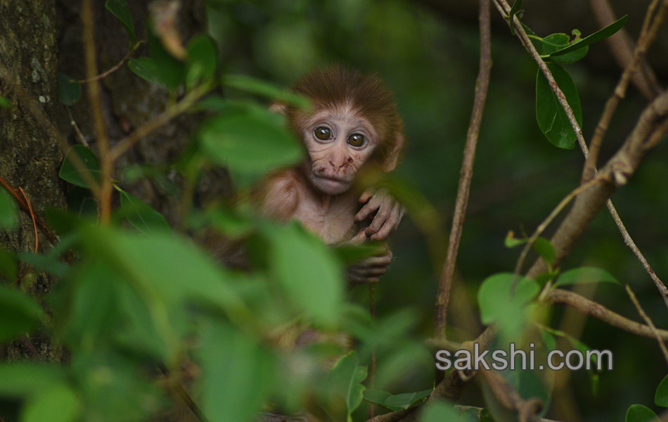 world photography day best photos14