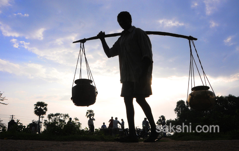 world photography day best photos24