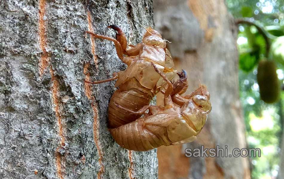 world photography day best photos34