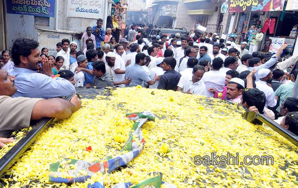 Campaign End in Nandyal by elections - Sakshi15