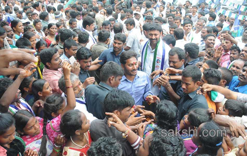 ys jagan mohan reddy road show in nandyal - Sakshi3