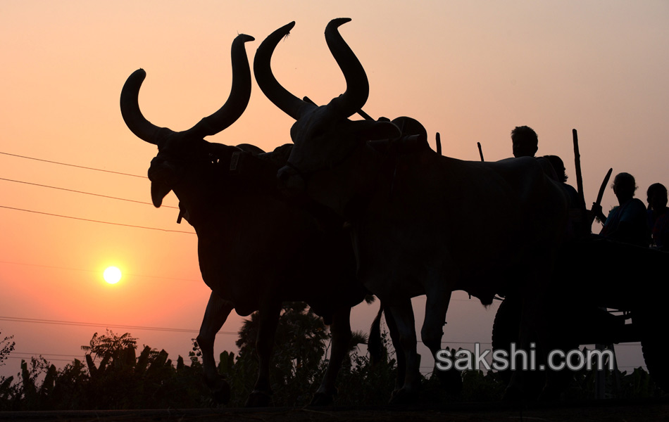 world photography day best photos12