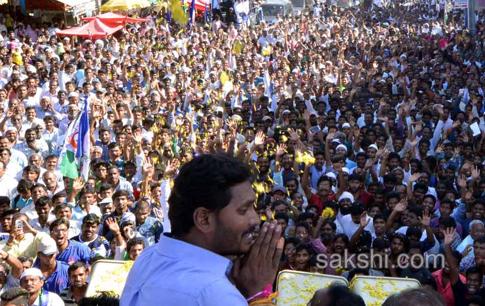 Campaign End in Nandyal by elections - Sakshi8