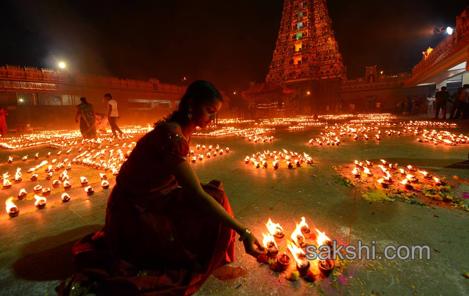 world photography day best photos15