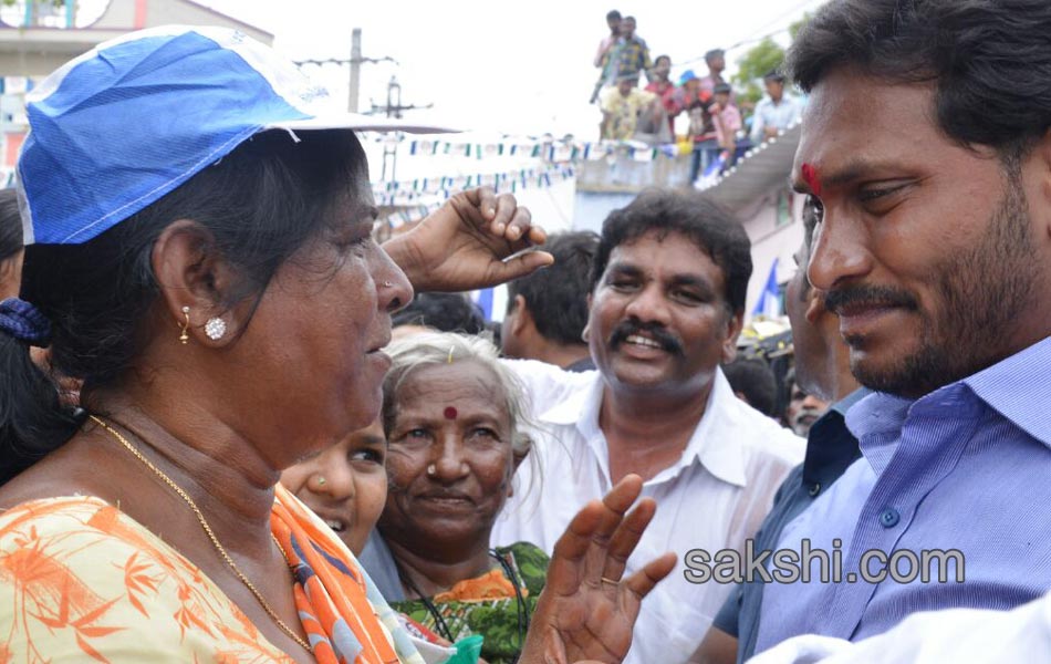 ys jagan mohan reddy road show in nandyal - Sakshi13