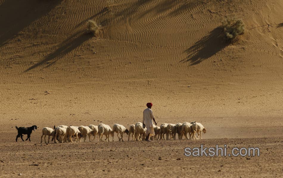 world photography day best photos36