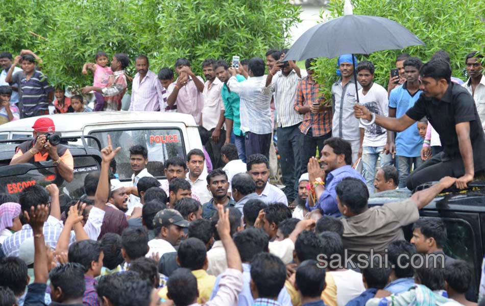 Ys Jagan Roadshow in Nandyal - Sakshi4