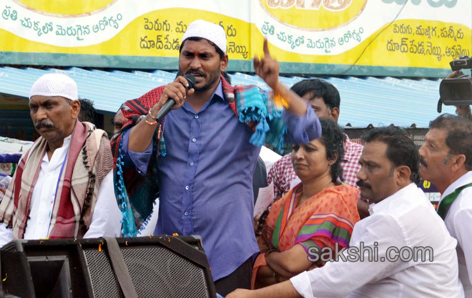 Ys Jagan Roadshow in Nandyal - Sakshi34