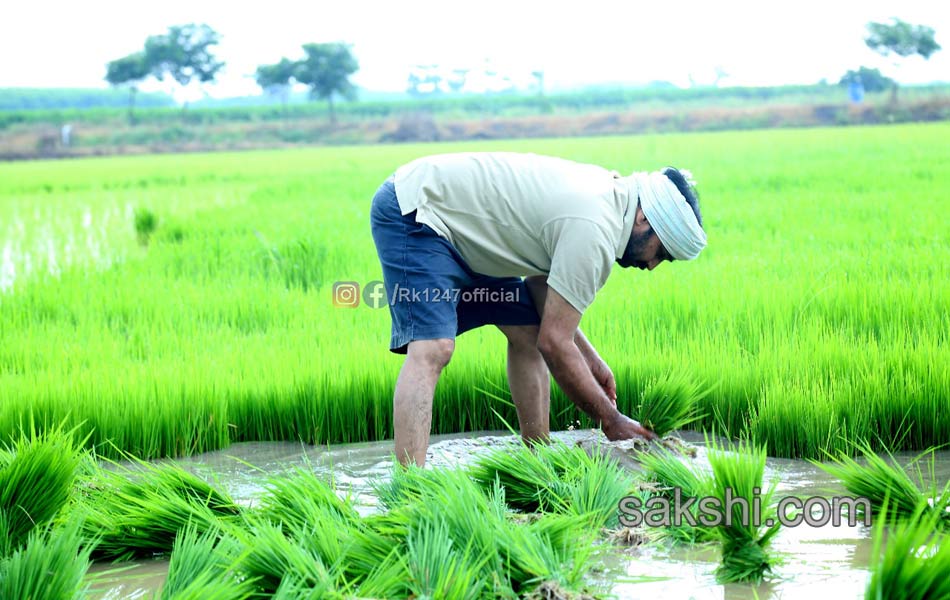 YSRCP MLA Alla Rama Krishna Reddy agricultural - Sakshi1