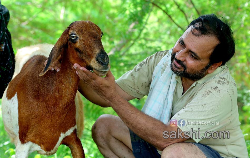 YSRCP MLA Alla Rama Krishna Reddy agricultural - Sakshi3