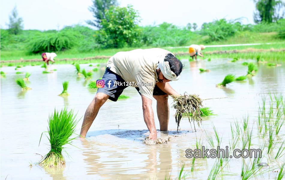 YSRCP MLA Alla Rama Krishna Reddy agricultural - Sakshi10