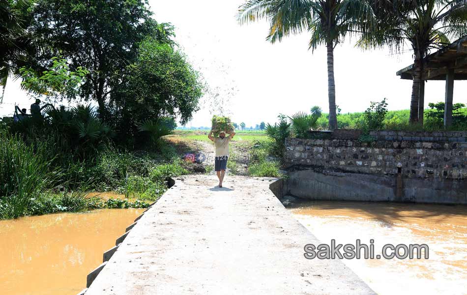 YSRCP MLA Alla Rama Krishna Reddy agricultural - Sakshi14