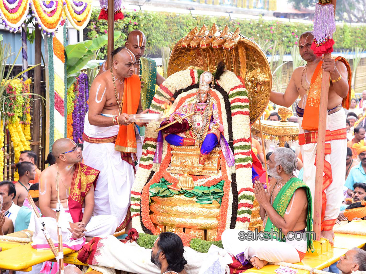 Tirumala Chinna Sesha Vahanam Second Day5