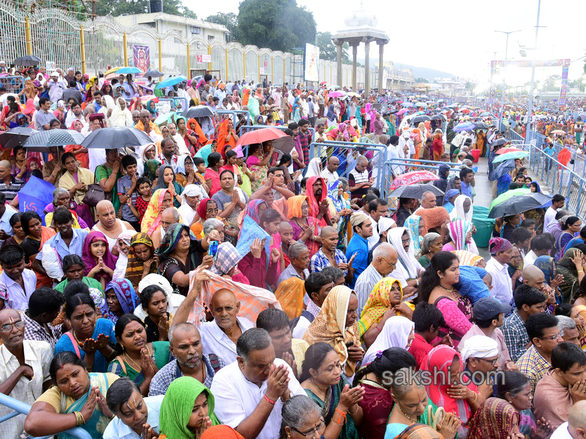 Simha Vahanam 3rd Day of Srivari Brahmotsavam13