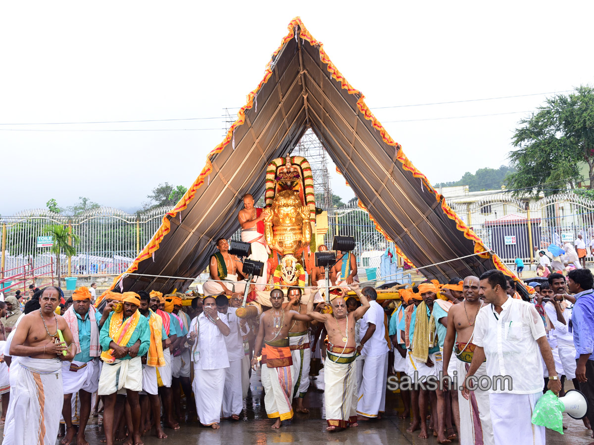 Simha Vahanam 3rd Day of Srivari Brahmotsavam9