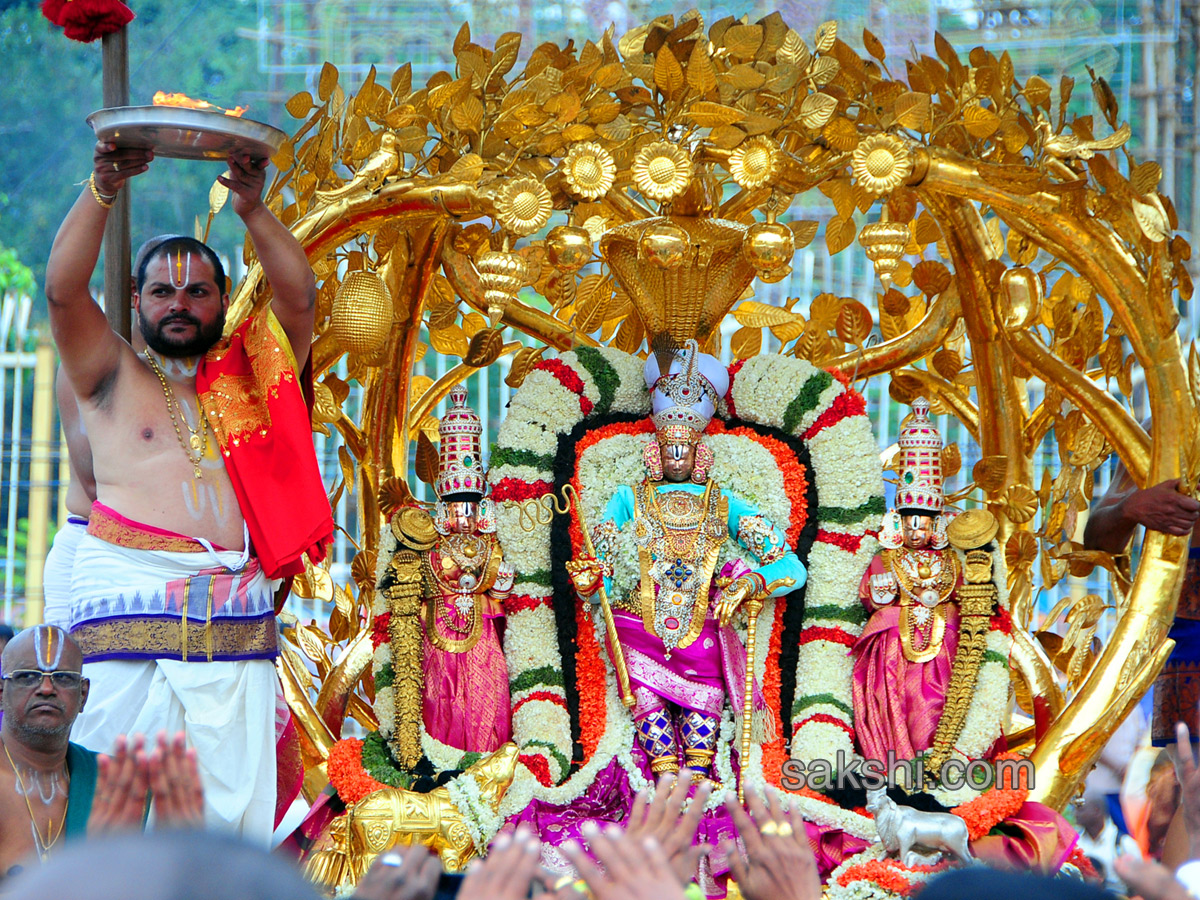 kalpavriksha vahanam 4th day of srivari brahmotsavam2