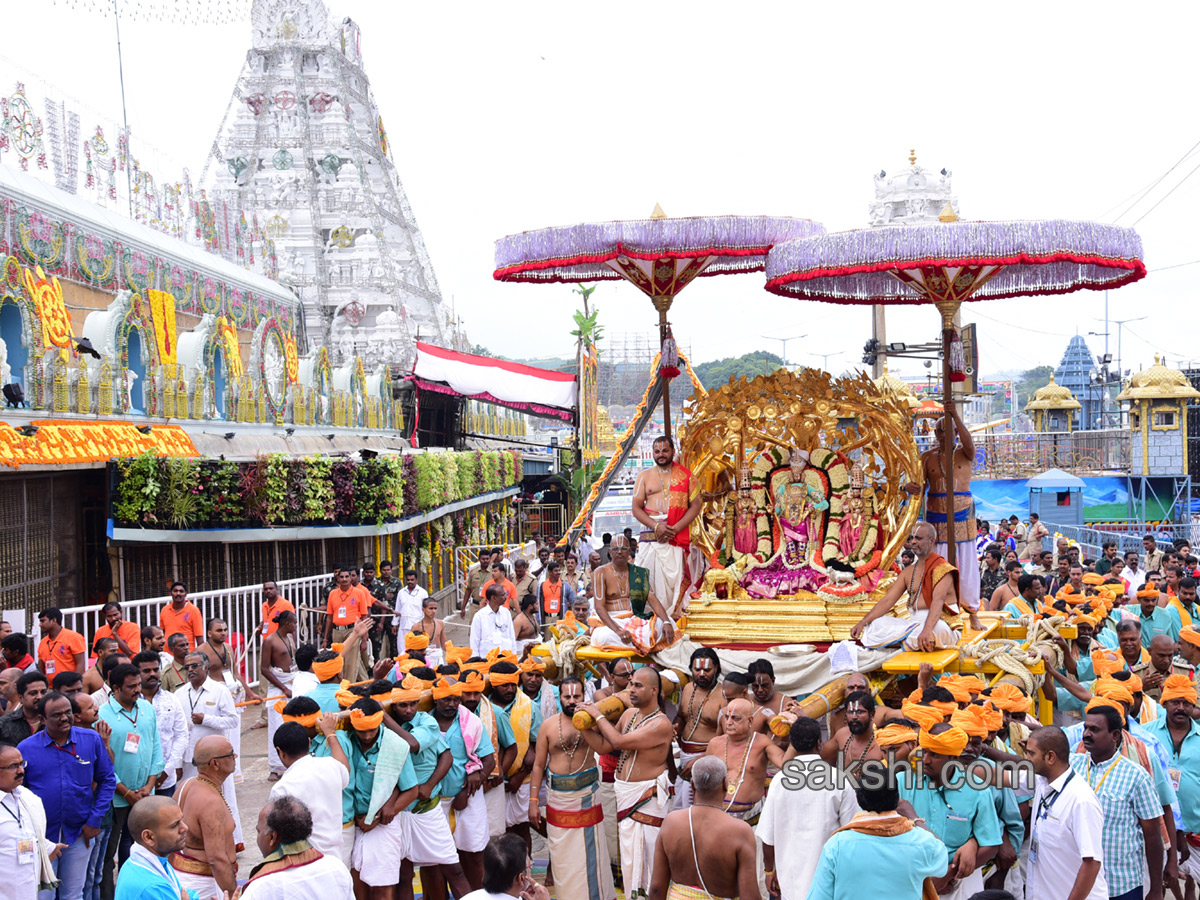 kalpavriksha vahanam 4th day of srivari brahmotsavam4