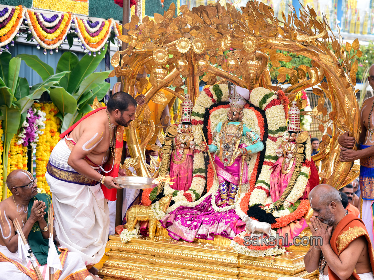 kalpavriksha vahanam 4th day of srivari brahmotsavam5