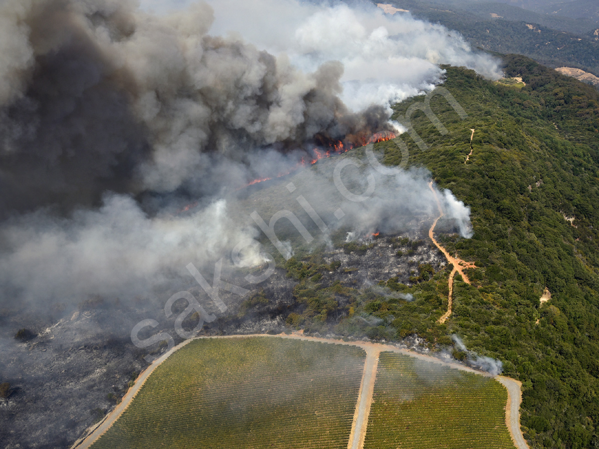 California Wildfires9