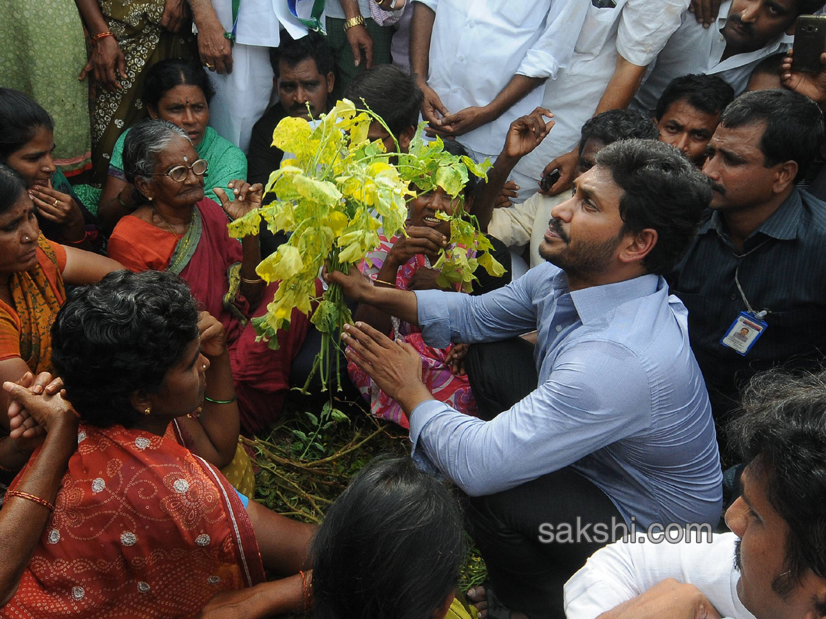 ys jagan mohan reddy supports dharmavaram weavers hunger strike - Sakshi18