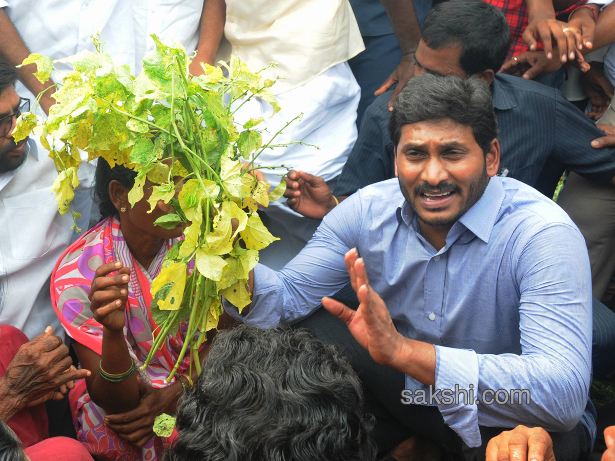 ys jagan mohan reddy supports dharmavaram weavers hunger strike - Sakshi6