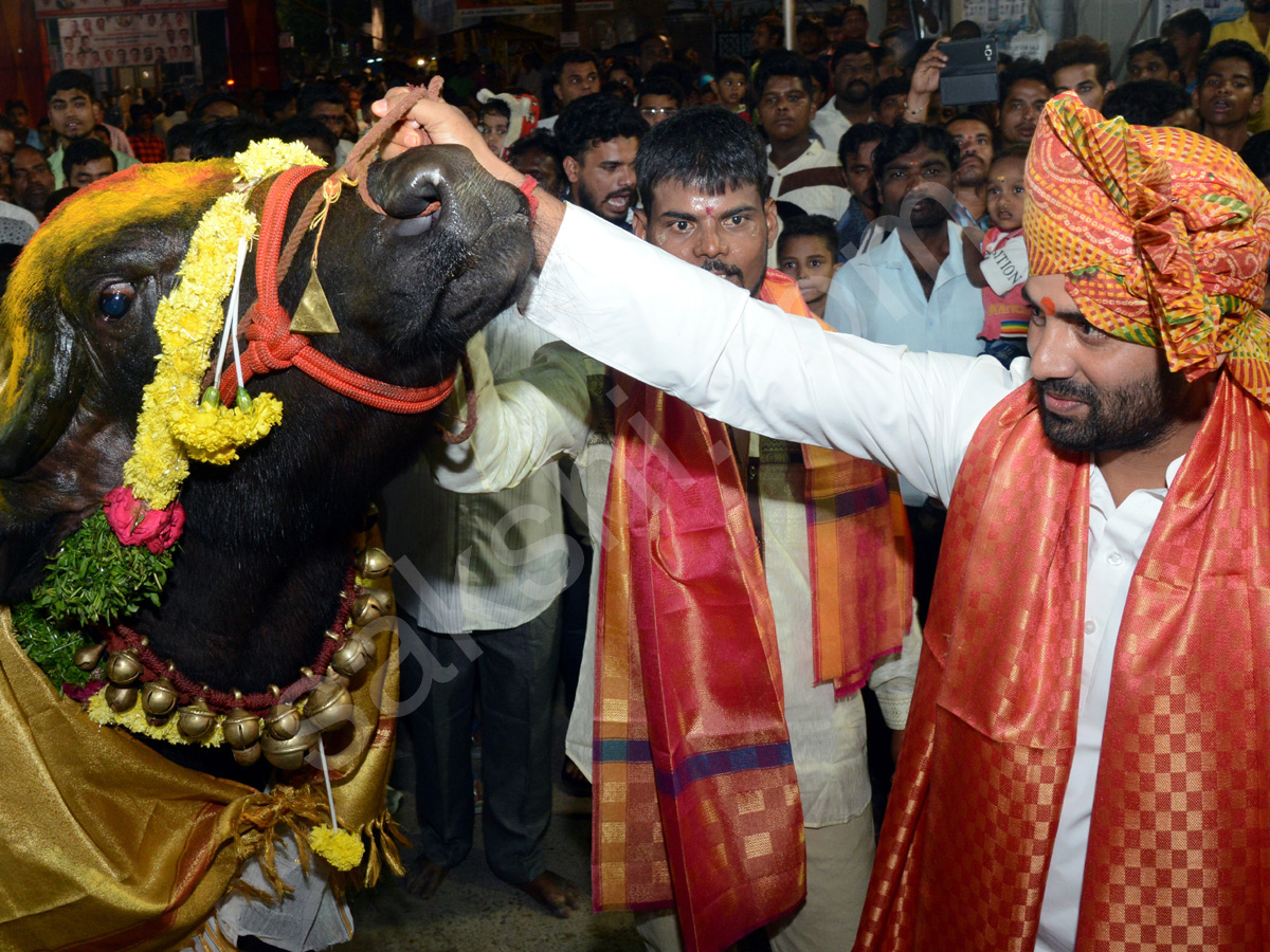 Sadar Festival Celebrations In Hyderabad  - Sakshi3